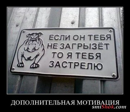 Время есть, тогда смотри новые фото приколы