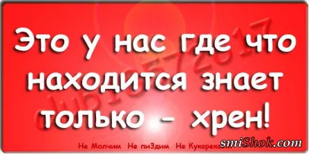 Прикольные фразы делают твою жизнь позитивней