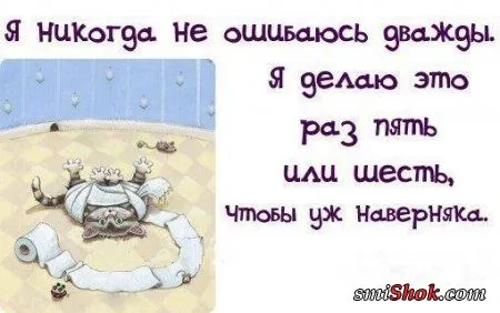 Прикольные фразы делают твою жизнь позитивней