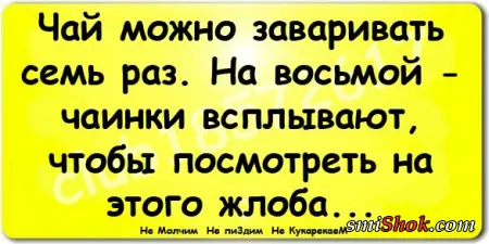 Прикольные фразы делают твою жизнь позитивней