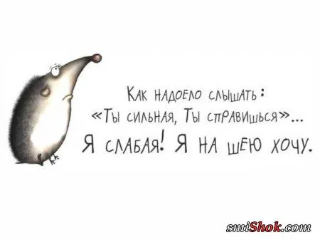 Прикольные фразы делают твою жизнь позитивней