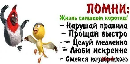 Прикольные фразы делают твою жизнь позитивней