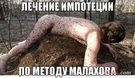 Приколы их чем больше, тем больше