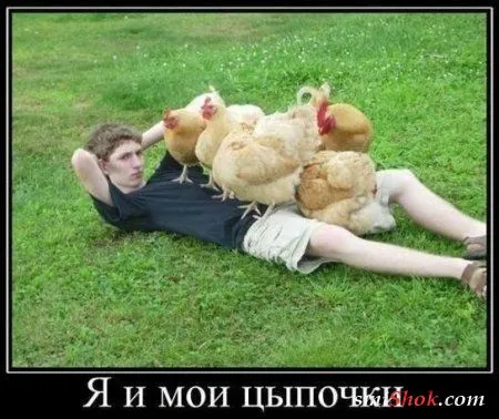 Приколы их чем больше, тем больше