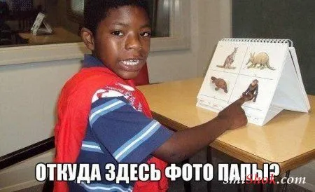 Приколы их чем больше, тем больше