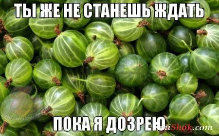 Приколы их чем больше, тем больше