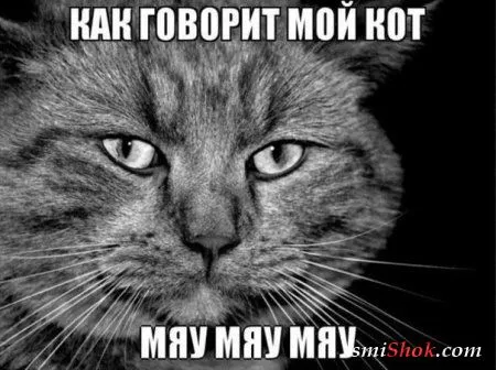 Приколы их чем больше, тем больше