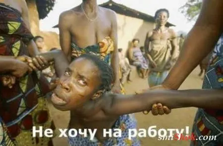 Приколы их чем больше, тем больше
