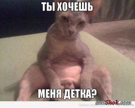 Приколы их чем больше, тем больше