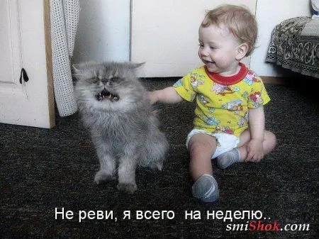 Просто у нас Безлимитные фото приколы