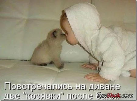 Котоматрицы, это когда котейки шутят