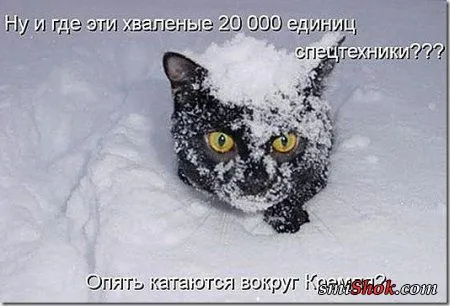 Котоматрицы, это когда котейки шутят