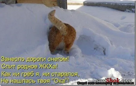 Котоматрицы, это когда котейки шутят