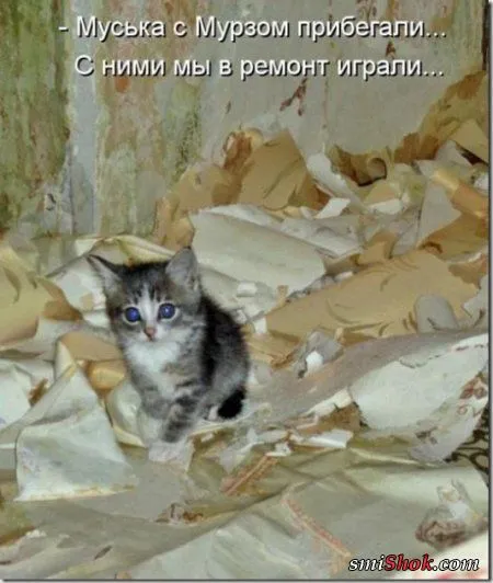 Котоматрицы, это когда котейки шутят