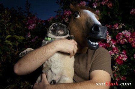 Подборка веселых фотографий людей с забавными животными