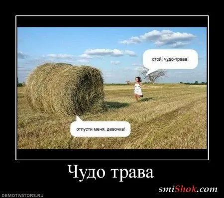 Демотиваторы, ну как обычно картинки веселые там в черных рамках... Демотиваторы, ну как обычно картинки веселые там в черных рамках...