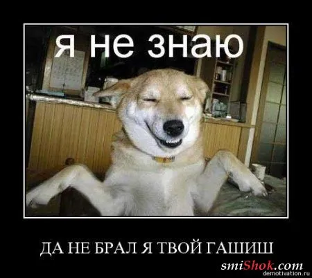 Демотиваторы, ну как обычно картинки веселые там в черных рамках... Демотиваторы, ну как обычно картинки веселые там в черных рамках...