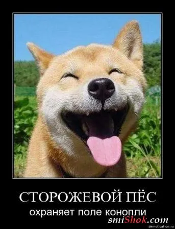 Демотиваторы, ну как обычно картинки веселые там в черных рамках... Демотиваторы, ну как обычно картинки веселые там в черных рамках...