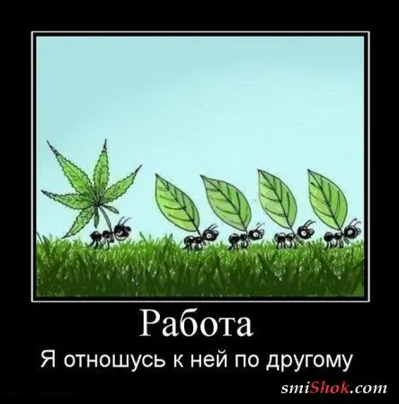 Демотиваторы, ну как обычно картинки веселые там в черных рамках... Демотиваторы, ну как обычно картинки веселые там в черных рамках...