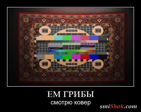 Демотиваторы, ну как обычно картинки веселые там в черных рамках... Демотиваторы, ну как обычно картинки веселые там в черных рамках...