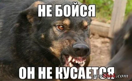 Фото приколы, хорошо что вы есть
