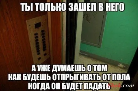 Фото приколы, хорошо что вы есть