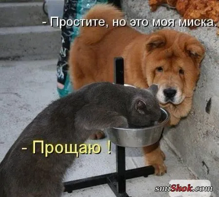 Смотри фото приколы, продлевай жизнь... Смотри фото приколы, продлевай жизнь...