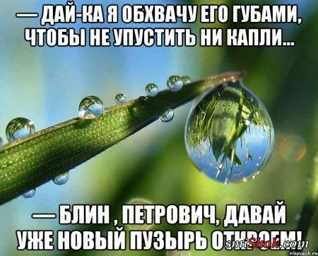 Ассорти приколов для позитивного настоения