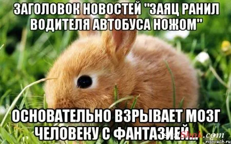 Ассорти приколов для позитивного настоения