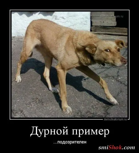 Прикольные демотиваторы для Вас