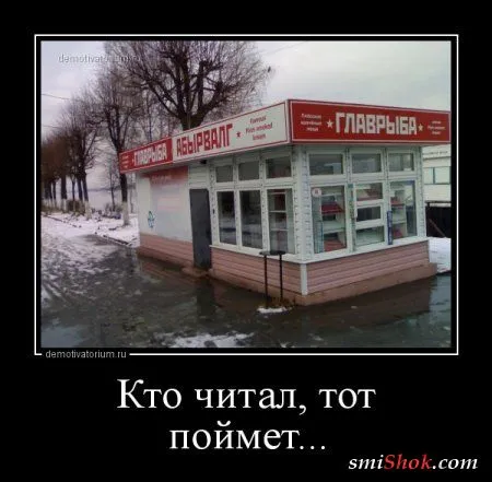 Прикольные демотиваторы для Вас