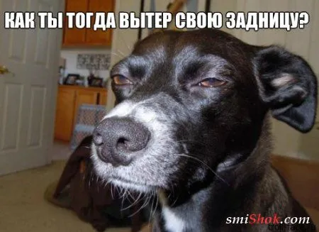 Приколы уже есть, да и весна на носу