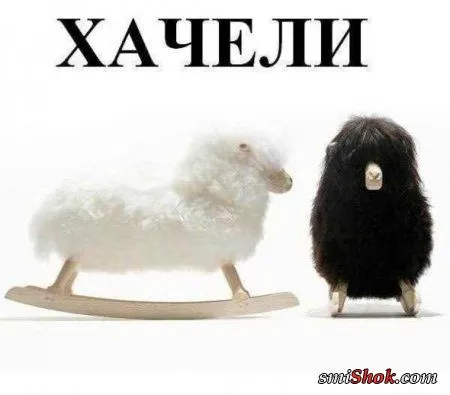 Приколы уже есть, да и весна на носу