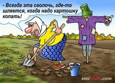 Карикатуры потому что приколов захотелось... Карикатуры потому что приколов захотелось...