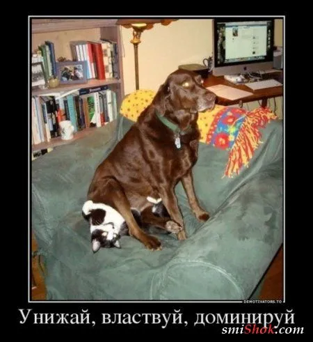 Прикольные демотиваторы, вот сиди и улыбайся
