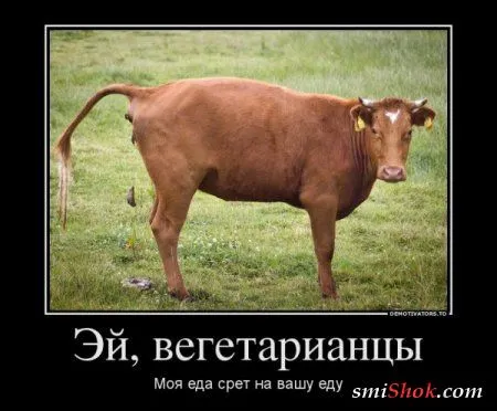 Прикольные демотиваторы, вот сиди и улыбайся
