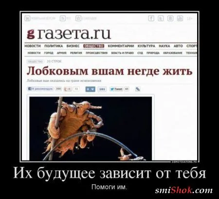 Прикольные демотиваторы, вот сиди и улыбайся