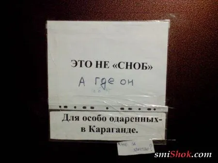 Прикольные фото и классные картинки, здесь все есть!