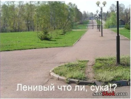 Фото приколы уже есть и настроение появится Фото приколы уже есть и настроение появится