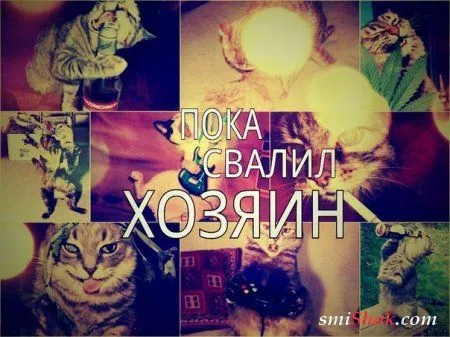Фото приколы уже есть и настроение появится Фото приколы уже есть и настроение появится