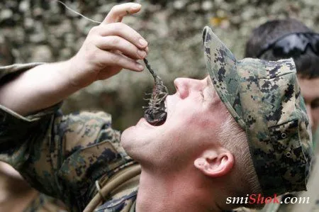 Военные приколы