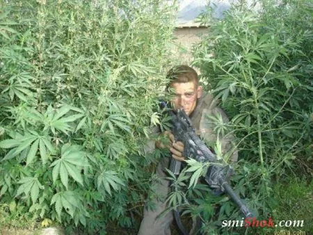Военные приколы