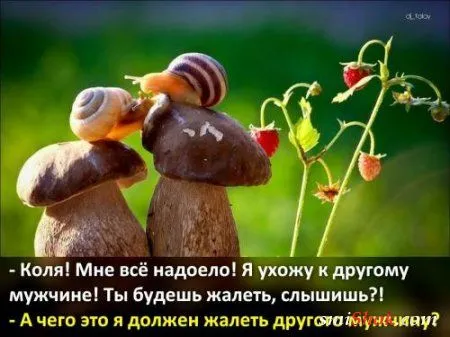 Афоризмы, цитаты в фотографиях.
