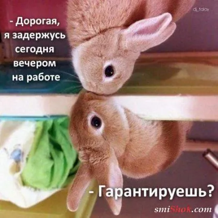 Афоризмы, цитаты в фотографиях.