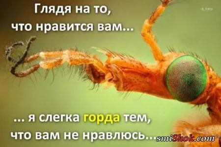 Афоризмы, цитаты в фотографиях.