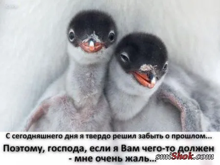 Афоризмы, цитаты в фотографиях.