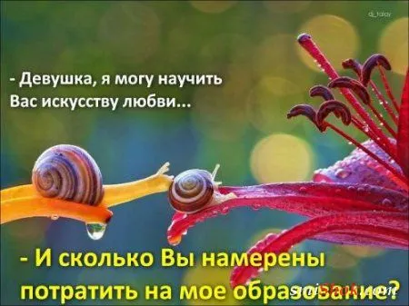 Афоризмы, цитаты в фотографиях.
