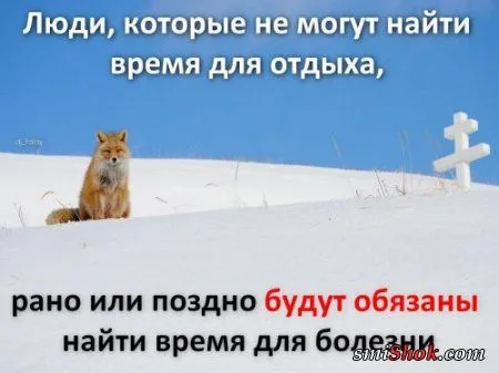 Афоризмы, цитаты в фотографиях.
