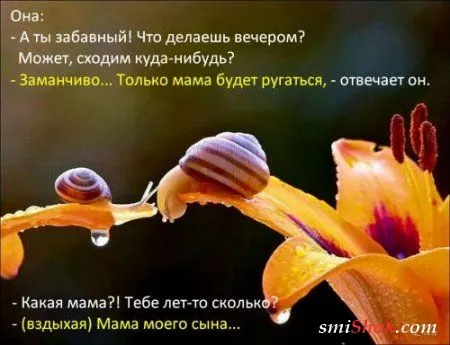 Афоризмы, цитаты в фотографиях.