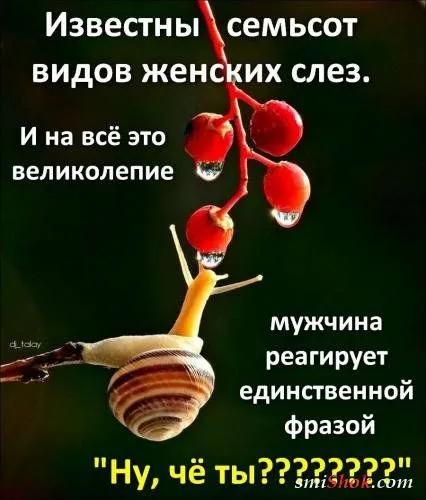 Афоризмы, цитаты в фотографиях.